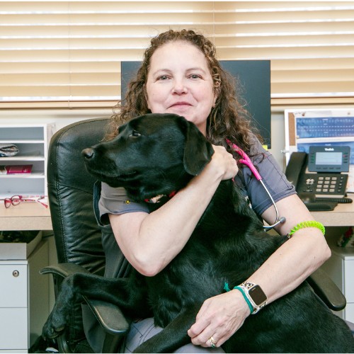 a vet staff holding a black dog 