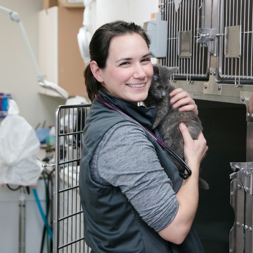 a vet staff holding a cat